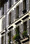 P1000049 shutters and geraniums.JPG